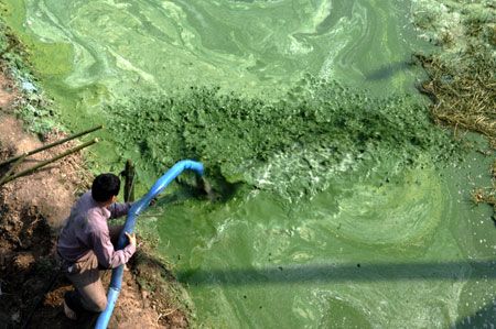 Nanotecnología para acabar con la contaminación de los lagos en China
