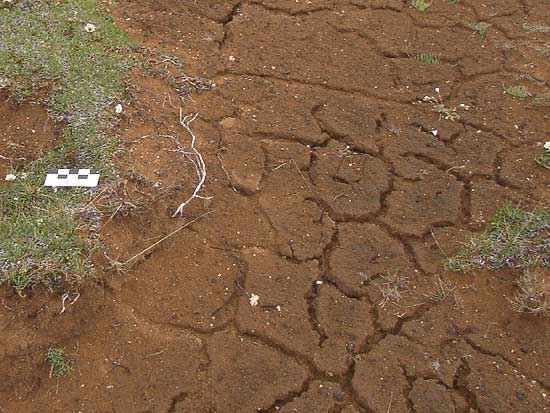 Un consorcio canario marroquí crea un observatorio para analizar el cambio climático en las dos regiones