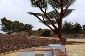Arboles-solares_MDSIMA20141026_0064_21