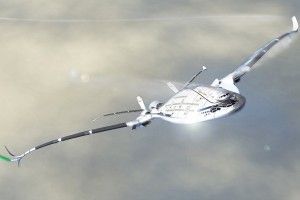 avion de hidrogeno