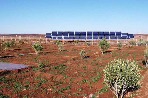 fenacore bombeo riego fotovoltaica