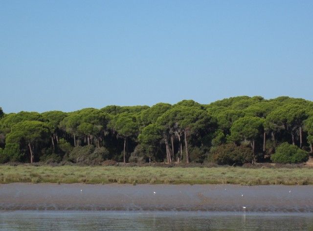 Doñana se juega seguir siendo Patrimonio de la Humanidad por el proyecto de Gas Natural