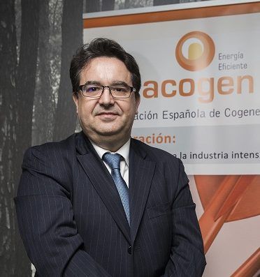 cogeneracion industrial