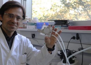 absorber CO2