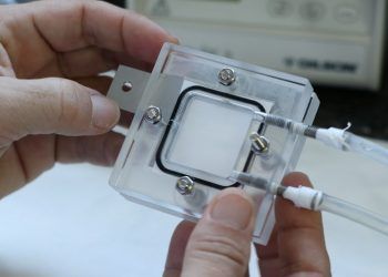 absorber CO2
