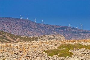 Forestalia construirá en Aragón