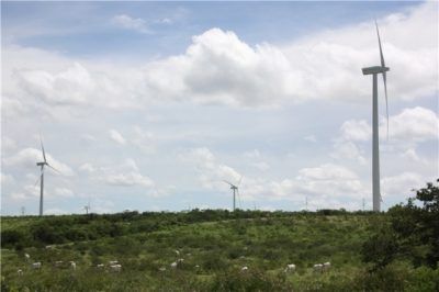 Neoenergia
