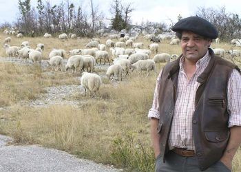 pastoreo móvil