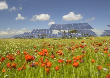 photovoltaic