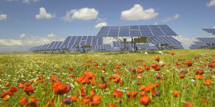 photovoltaic