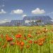 photovoltaic