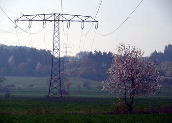 electricity consumption