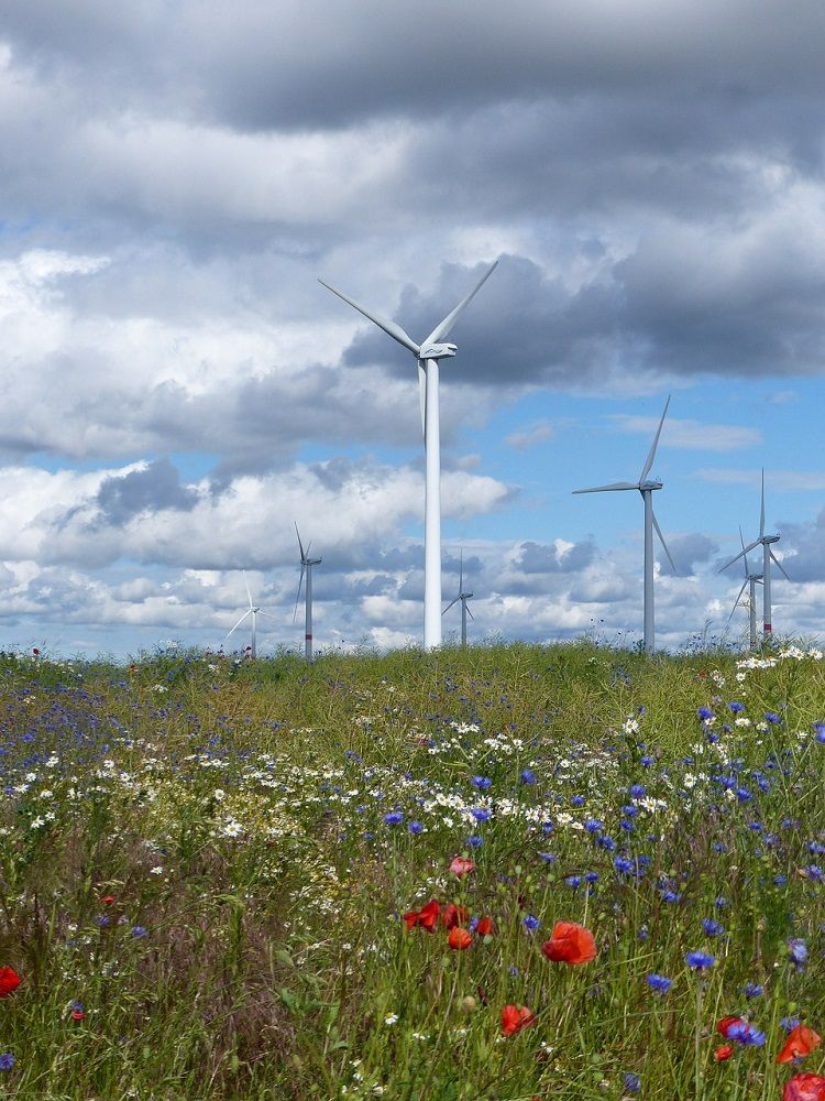 Energía de la UE