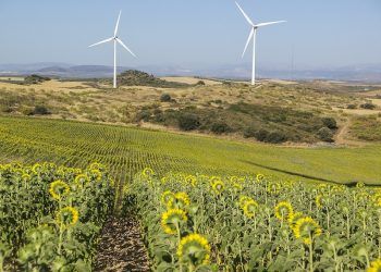 CL-Windcon project