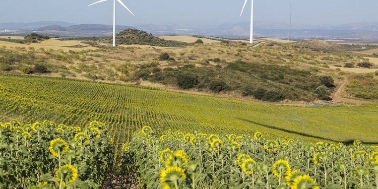 CL-Windcon project