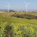 CL-Windcon project