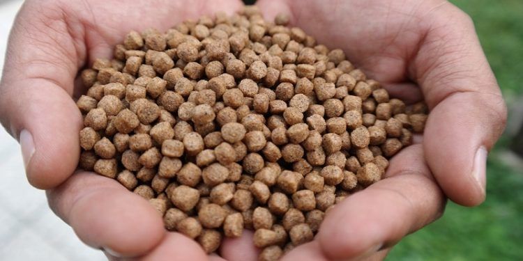 estufas de pellet