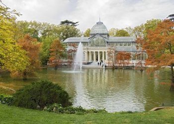 Madrid ahorra 25,7 millones de euros al año gracias a su bosque urbano