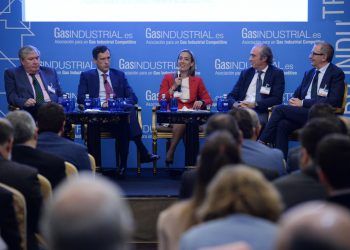 grandes consumidores de gas GasINDUSTRIAL
