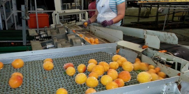 consumo eléctrico de las grandes empresas