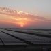 plantas solares fotovoltaicas en India