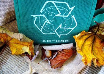 Día Internacional del Reciclaje