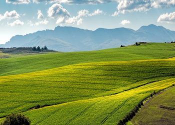 Día Mundial del Medio Ambiente