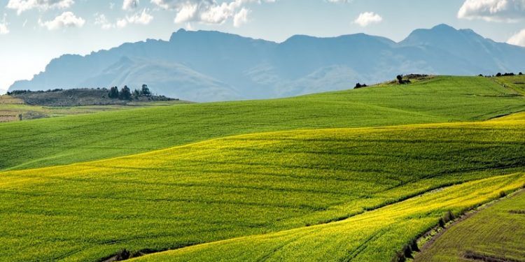 Día Mundial del Medio Ambiente