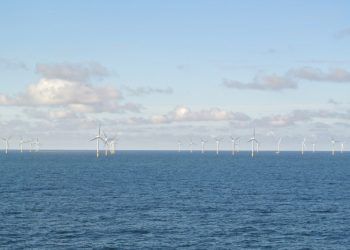 bonos verdes de Iberdrola