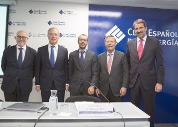 demanda de electricidad 2017