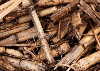 biomass for heating
