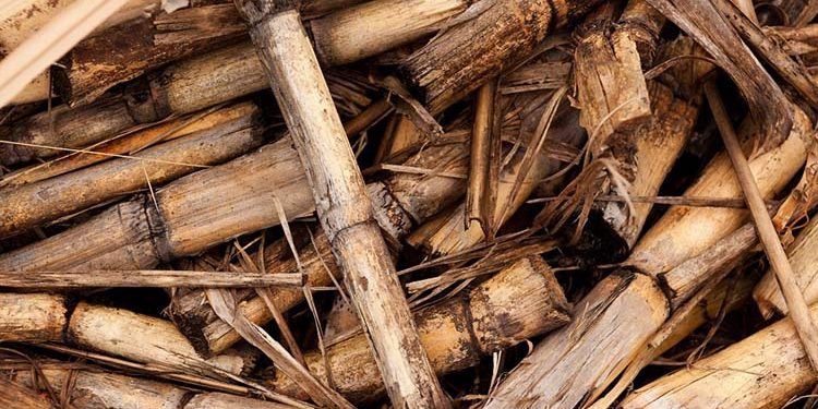 biomass for heating