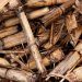 biomass for heating