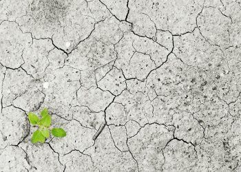 cambio climático