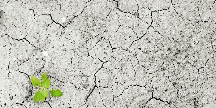 cambio climático