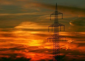 sector eléctrico. Operadores dominantes.