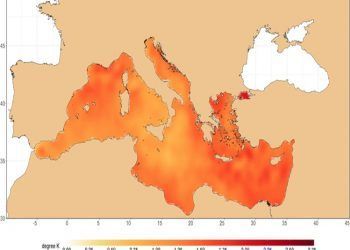 calentamiento del mar