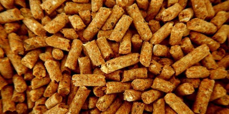 sector de la biomasa. Pellets