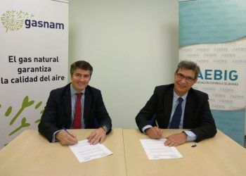 gas renovable movilidad