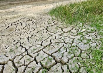 IPPC acción climática