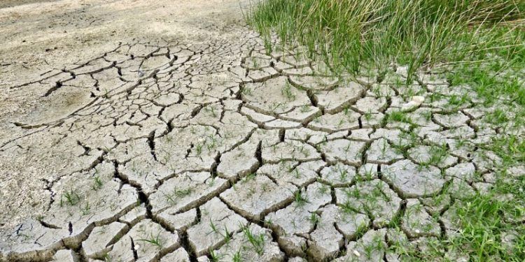IPPC acción climática