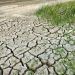 IPPC acción climática