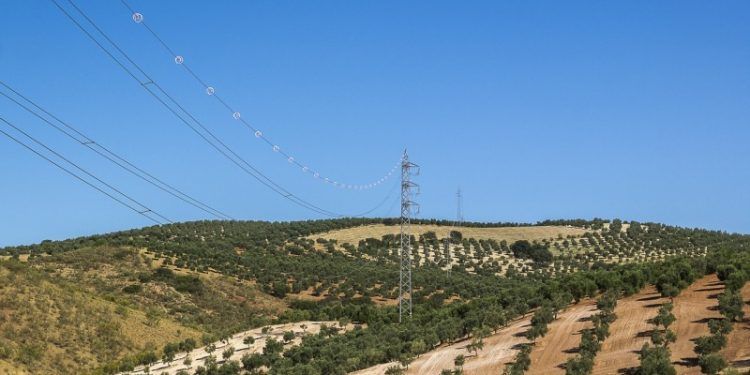 Demanda Peninsular de Energía Eléctrica