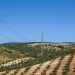 Demanda Peninsular de Energía Eléctrica