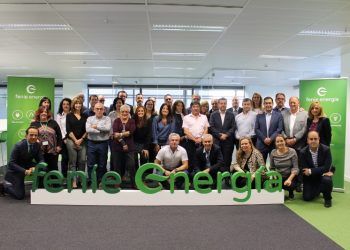 Fenie Energia mercado mayorista