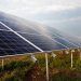 fotovoltaica en canarias