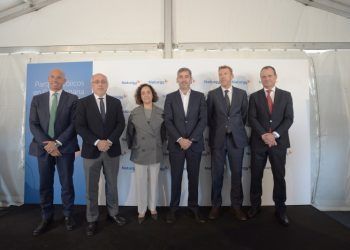 Naturgy complejo eólico Canarias