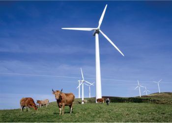 Norvento compra a Vestas aerogeneradores
