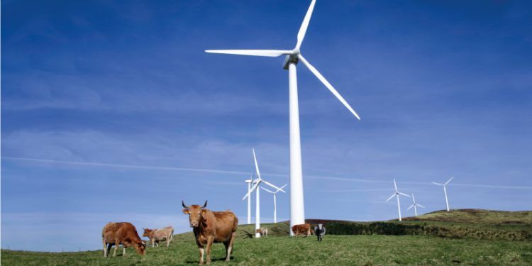 Norvento compra a Vestas aerogeneradores