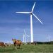 Norvento compra a Vestas aerogeneradores